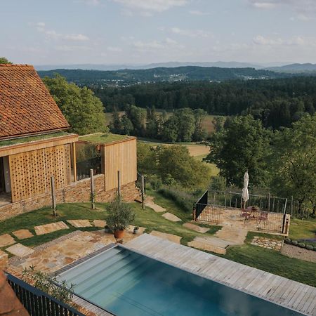 Am Wildbachberg - Luxus Ferienhaeuser Mit Infinitypool, Privatsauna Und Weinkeller Deutschlandsberg Eksteriør billede
