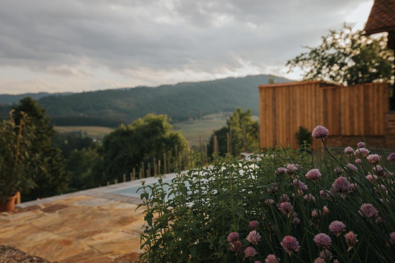 Am Wildbachberg - Luxus Ferienhaeuser Mit Infinitypool, Privatsauna Und Weinkeller Deutschlandsberg Eksteriør billede